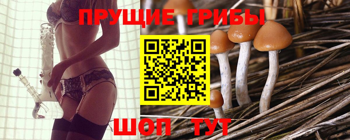 Псилоцибиновые грибы Magic Shrooms Усолье-Сибирское