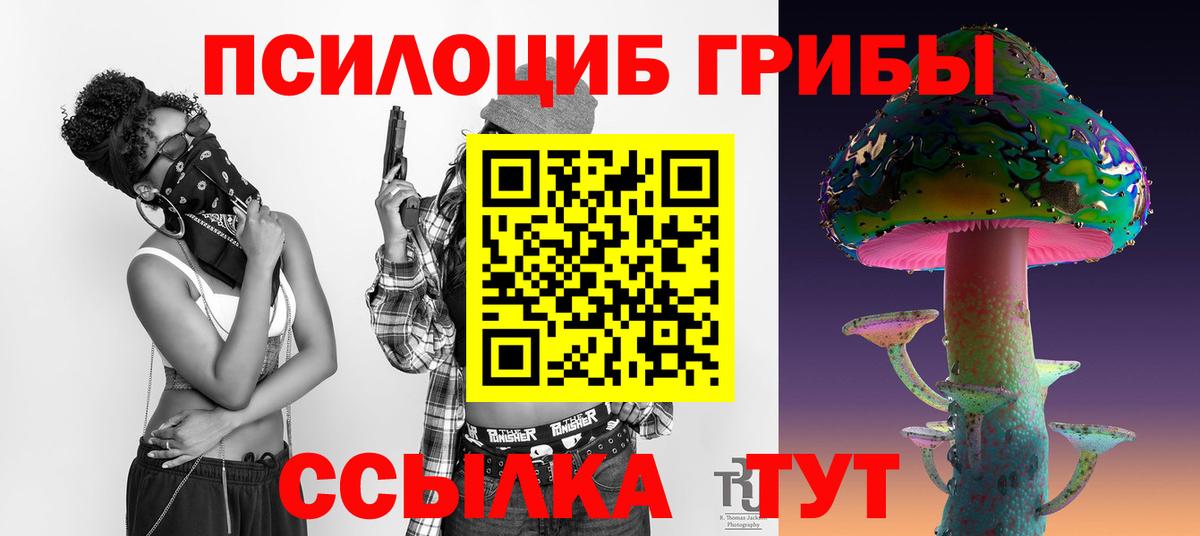 Галлюциногенные грибы Psilocybe  купить  сайты  Усолье-Сибирское  Вход с VPN 